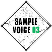 SAMPLE VOICE 03