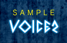 voice 2