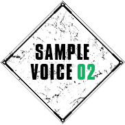 SAMPLE VOICE 02