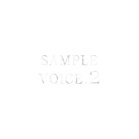 SAMPLE VOICE2