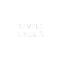 SAMPLE VOICE3